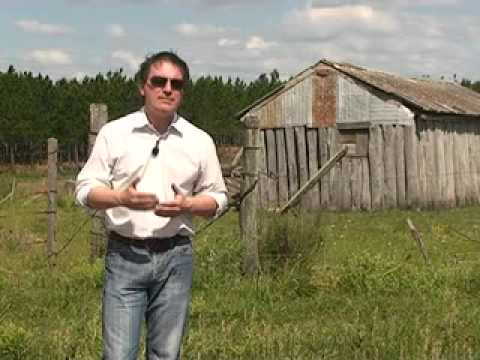 Colonia San Mauricio en el departamento de Paysandú.