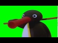 Pingu Noot Noot Greenscreen