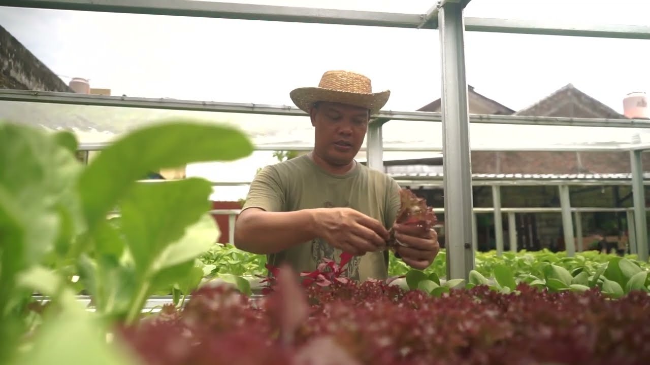 Bakti Pangan Lestari: 6-Month Farming Internship for Students | Bakti Barito Foundation