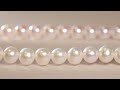 Freshwater vs Akoya Pearls: Understanding the Differences in Under a Minute