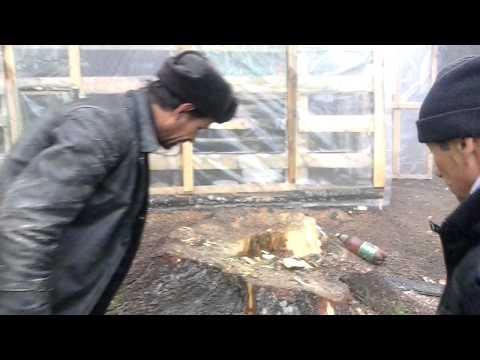 Hotia din Obstea Negrilesti.ep11