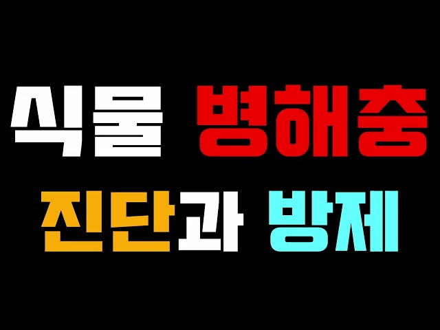 학과 홍보 동영상 (2)
