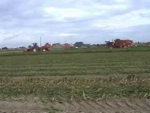 Lamerant L&H.: Bieten rooien.