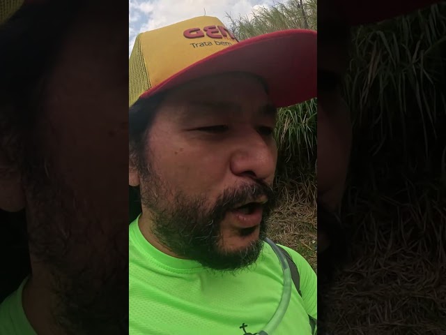 A parte triste da Romaria #maniadecorrida