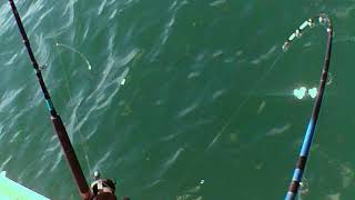 When Rocko caught the big one