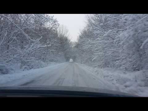 padure calugareni 2014