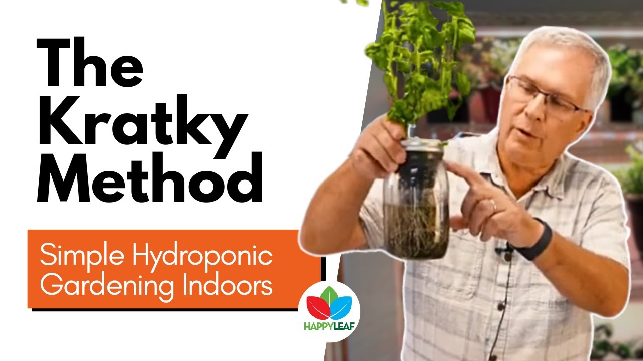 Simple Hydroponic Gardening Indoors with LED Grow Lights: The Kratky Method for Herbs & Greens