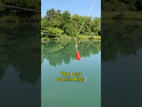 The BEST Catfish Rigs For BANK Fishing!! 🎣 #shorts #fishing