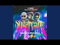 Sugarcane [Remix] (Feat. King Promise, Mayorkun & Darkoo)