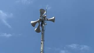 愛媛県伊予郡砥部町 12時 野バラ