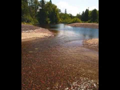 When The River Meets The Sea video thumbnail