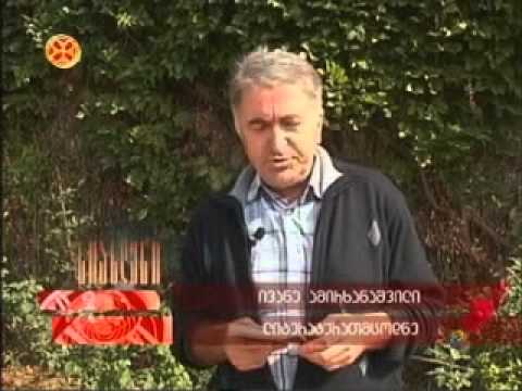 გვანცა ჯობავას „კარდიოგრამა“ 