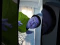 Sagawa Gummy Bear Effects 2 Sagawa Gummybear Effects