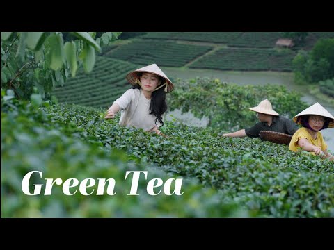 Green Tea Magic: A Weekend of Culinary Delights and Neighborly Bonding【Vietnam ShihYi】