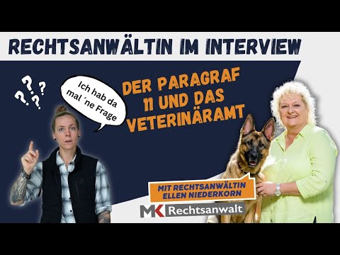 Hundetrainer Paragraf 11 - so läuft es beim Veterinäramt wirklich ab