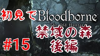 【Bloodborne】プルプル星人#15