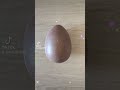 Kinder Surprise Natoons Collection Kinderegg