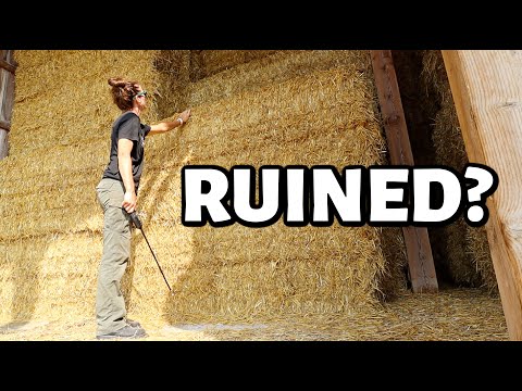 Did we just ruin 130 bales of STRAW!? ...this was not the plan. | Vlog 709