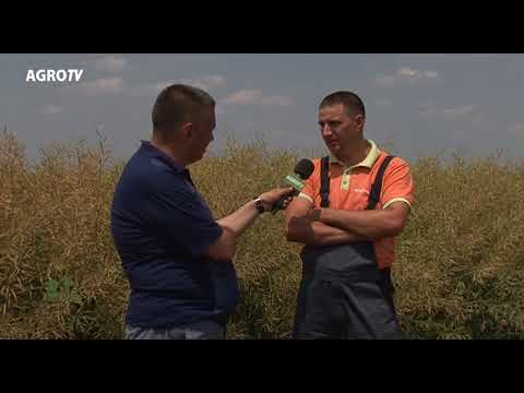 Portret de fermier - Cosmin Micu 29.06.2018
