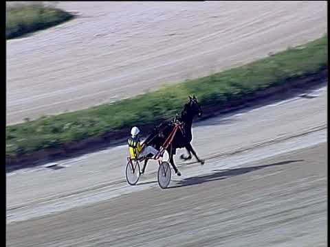 Trotto 08/06/2019 - 3ª prova di qualifica