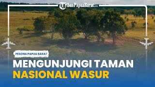 Menilik Potensi Wisata dan Keanekaragaman Hayati di Taman Nasional Wasur Merauke Papua