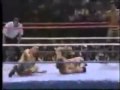The Killer Bees vs. The Iron Sheik & Volkoff ...