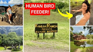 Halona Blowhole, Kualoa Ranch, Valley of the Temples | NCL Pride of America Hawaii Cruise Tour!
