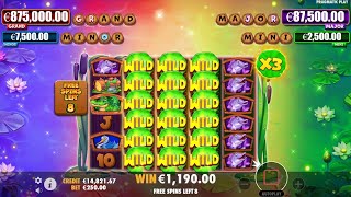 🎰 Tiny Toads Slot Bonus Game Big Win 💰 Online Casino
