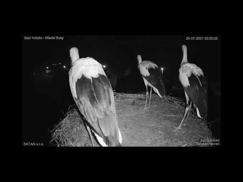 Další požární poplach u Bukáčků - 25. 7. 2021