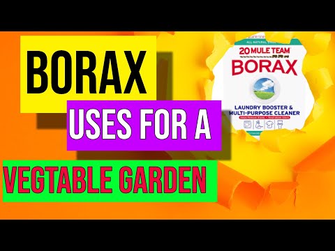 Borax Uses For Vegetable Gardening