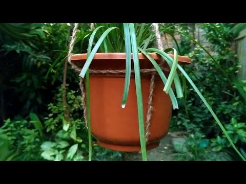 DIY | 1 MINUTE HANGING PLANTER - QUICK AND EASY | HANGING POT WITH ROPE