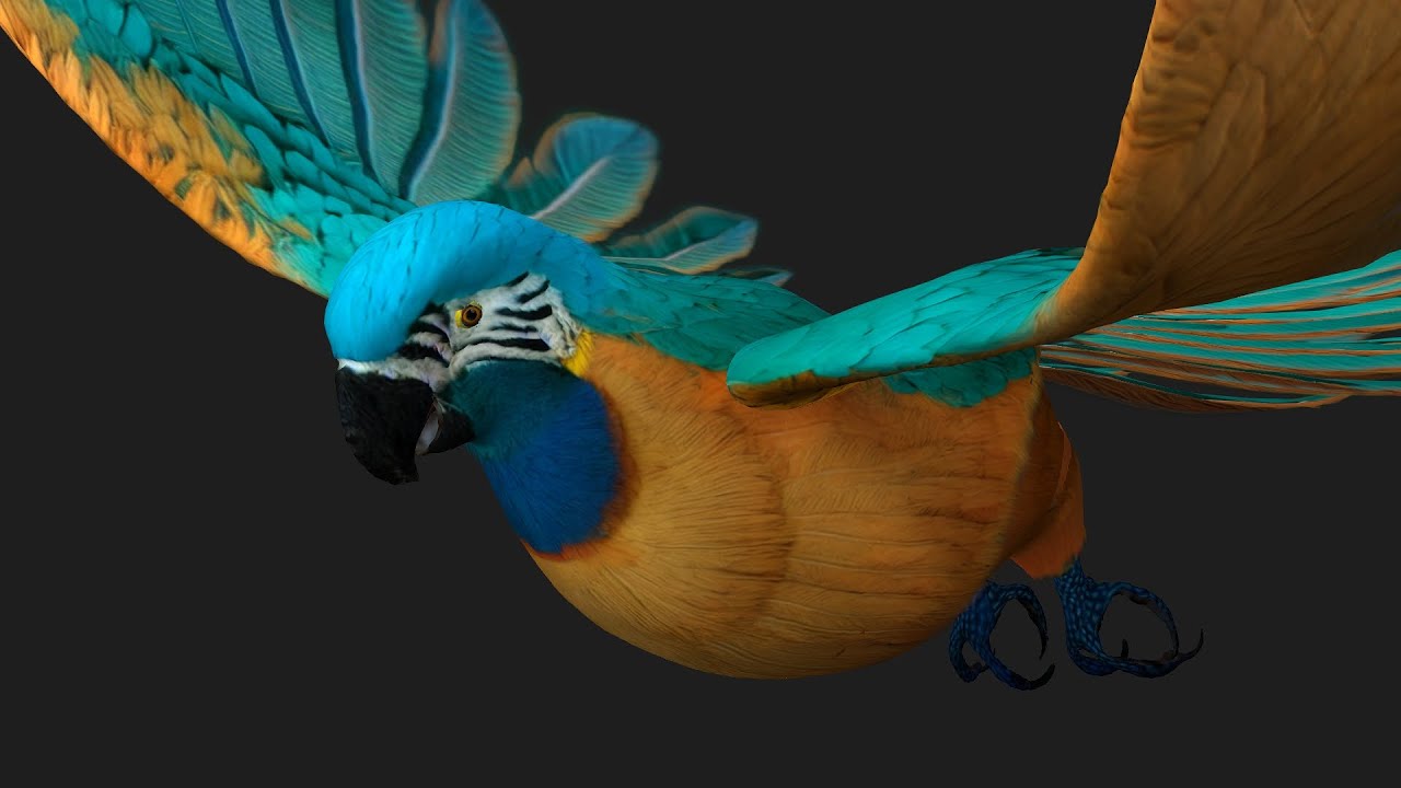 ParrotA3 3D Model