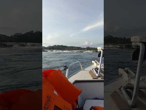 Passeio de lancha no Rio Araguari em Ferreira Gomes Amapá #3