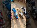 4 Colours Royal Enfield Bullet 350 CC Classic 350 CC Offroad Diecast Scale Model Miniature Stunt