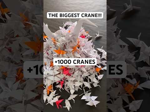 THE BIGGEST ORIGAMI CRANE TUTORIAL | DIY FULL-SIZED ORIGAMI CRANE STEP BY STEP 1000 ORIGAMI CRANES