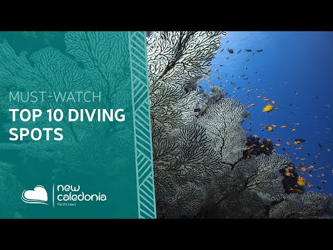 Top 10 diving spots in New Caledonia