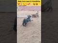 Puppy Baby Love React In Friendship तेरे जैसा यार कहां Shorts Insaniya