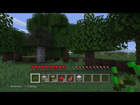 Minecraft PS4 Tutorial 01 | Basic Controls
