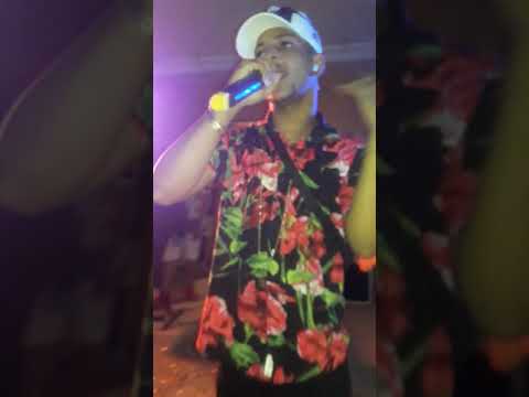 Show Ao Vivo Mc Ninho Play (Brega Rave)