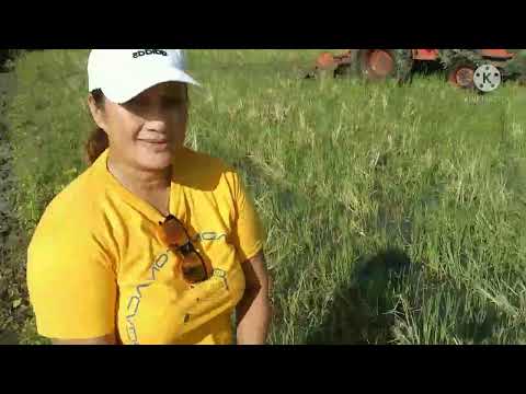 LAND PREPARATION PART2