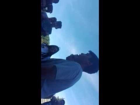 cachorro d jam saw vs tau asterisco