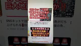 SNSネットで話題‼️千葉県で大量の魚が打ち上げられる‼️巨大地震の前兆か‼️続きは本編で見てください‼️2026年8月11日‼️