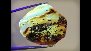 Okno do baltského jantaru PO-39