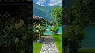 Most beautiful moments in Switzerland #relaxing #calm #switzerland