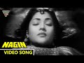 O Zindagi Ke Dene Wale Video Song | Nagin(1954) Movie | Vyjayanthimala, Pradeep Kumar | Eagle Mini