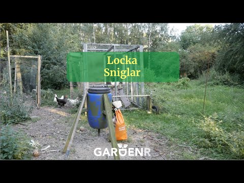 Attract slugs - Gardenhacks by GardenR