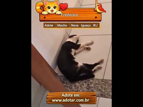 Vídeo de Frederico 