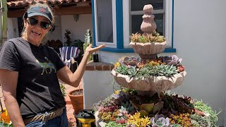 Planting a Succulent Fountain
