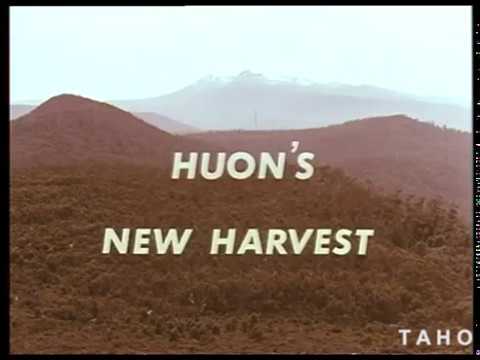 Cover image for Film - Huon's New Harvest - eucalypts used for the 1st time in wood pelletising process for paper manufacture - commissioned by Aust. Paper Manufacturers, new methods in paper production - shot of foundations of eucalypt pulp mill at Port Huon in 40s.