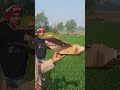 DIY Cardboard Aeroplane